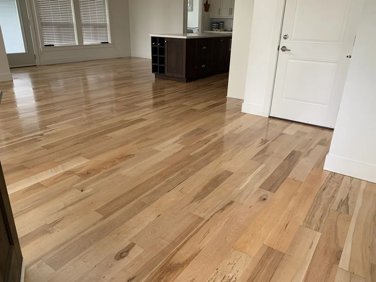 The same maple floor sanded back to its natural colour
