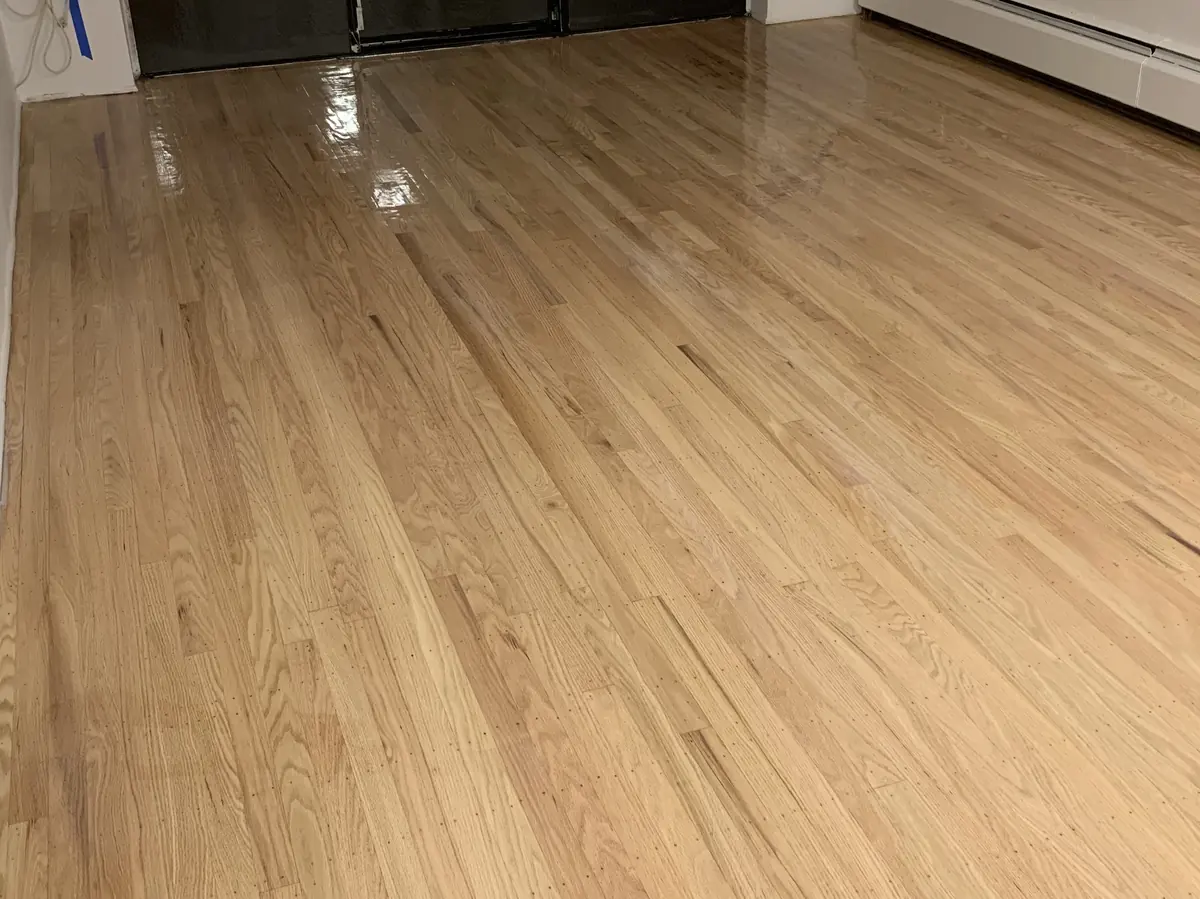 Oak — gloss finish